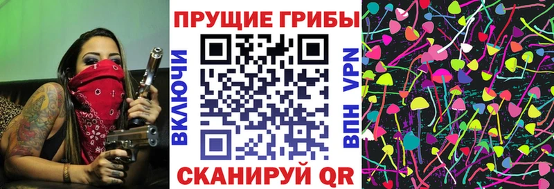 Галлюциногенные грибы Psilocybe  Кандалакша 