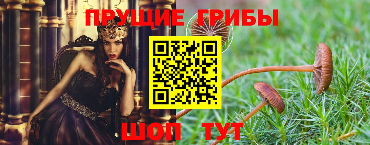 Псилоцибиновые грибы GOLDEN TEACHER  что такое наркотик  Вход с VPN  Кандалакша  Псилоцибиновые грибы Psilocybine cubensis 